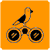 Aves