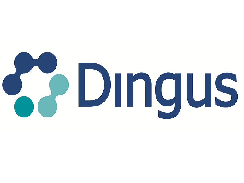 dingusreaj